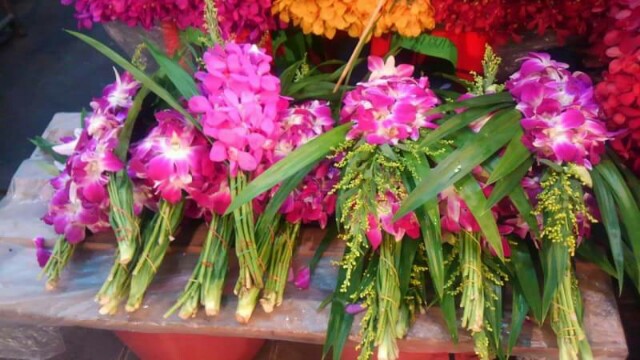 f:id:flower-and-travel:20161029175929j:image f:id:flower-and-travel:20161029175929j:image