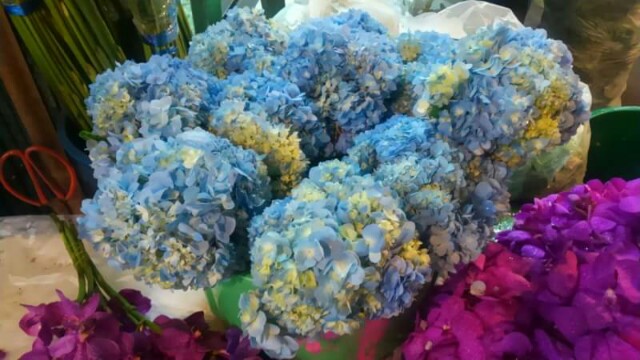 f:id:flower-and-travel:20161029175952j:image f:id:flower-and-travel:20161029175952j:image