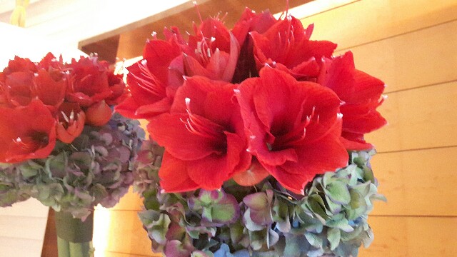 f:id:flower-and-travel:20161119120415j:image f:id:flower-and-travel:20161119120415j:image