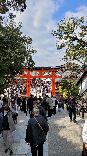 f:id:flower-kun:20250323101817j:image f:id:flower-kun:20250323101817j:image