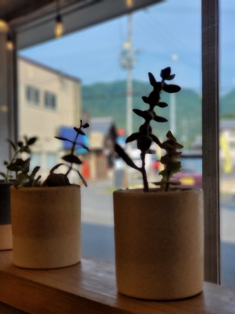 f:id:flower-kun:20250718135826j:image f:id:flower-kun:20250718135826j:image