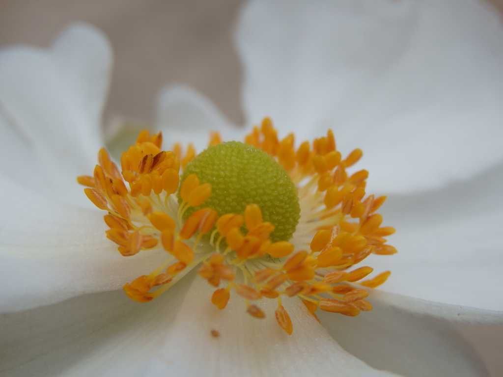 f:id:flower74230492:20160925145331j:plain f:id:flower74230492:20160925145331j:plain