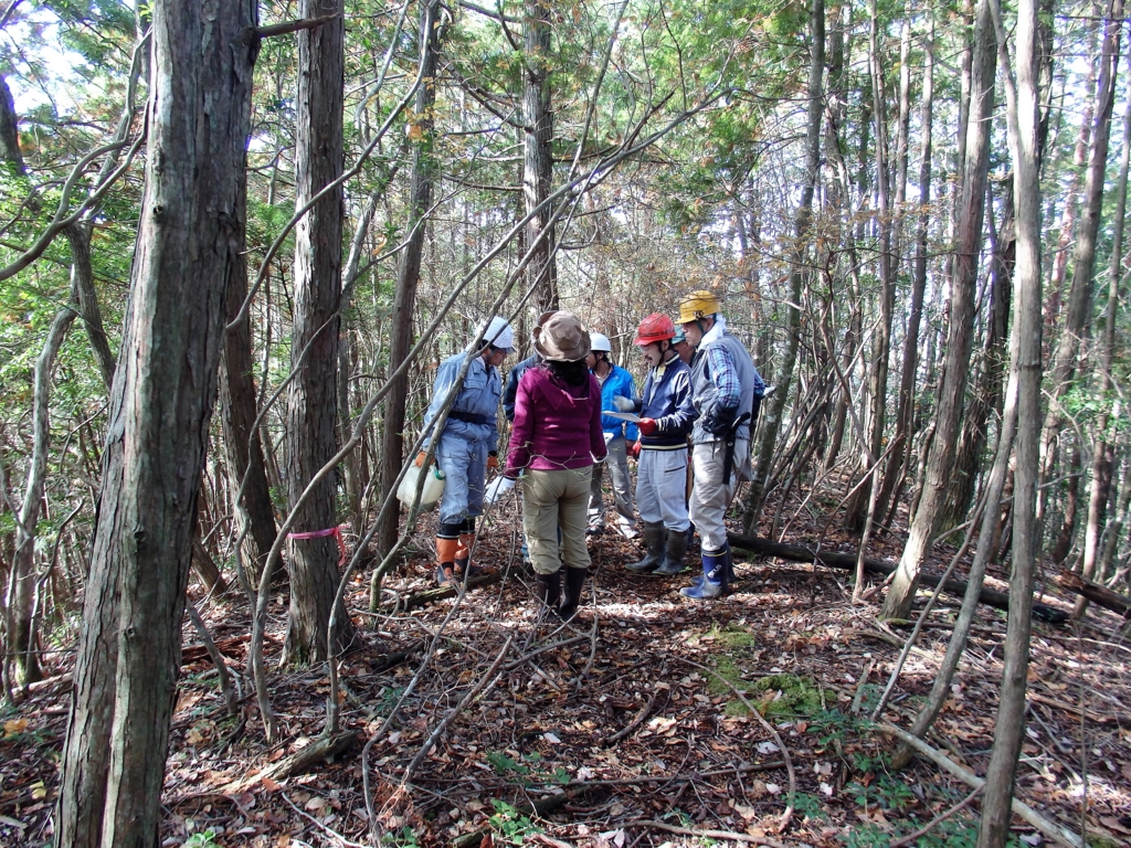 f:id:flower74230492:20161204112234j:plain