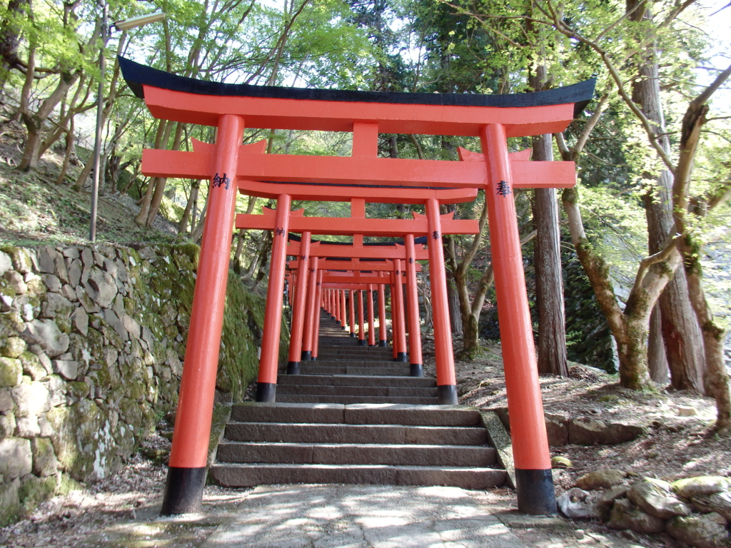 f:id:flower74230492:20170416143541j:plain