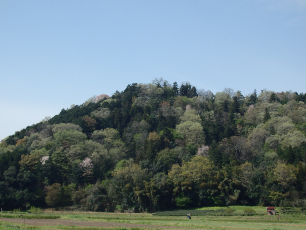 f:id:flower74230492:20170420092547j:plain