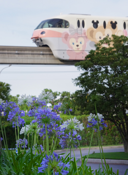 f:id:flowerTDR:20160712074308j:plain