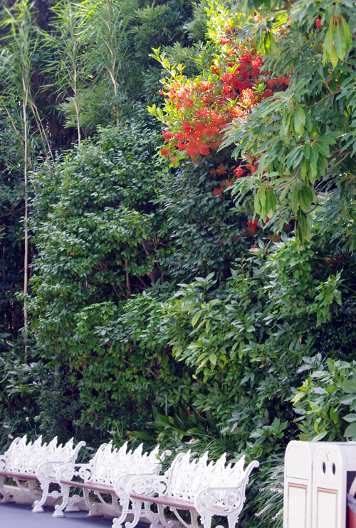 f:id:flowerTDR:20160902001902j:plain