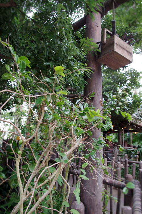 f:id:flowerTDR:20160903092207j:plain f:id:flowerTDR:20160903092207j:plain