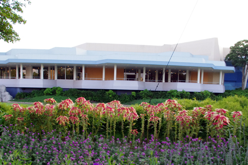 f:id:flowerTDR:20160911015427j:plain