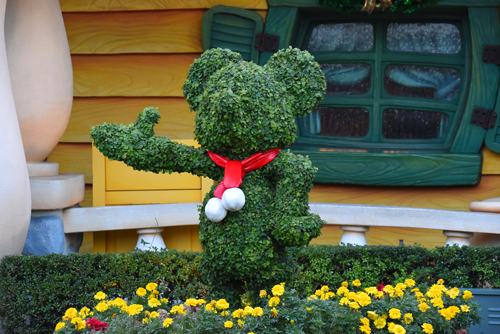 f:id:flowerTDR:20161118091511j:plain