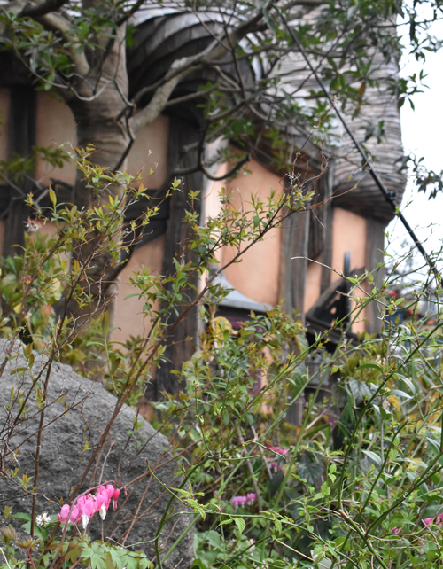f:id:flowerTDR:20170401211231j:plain