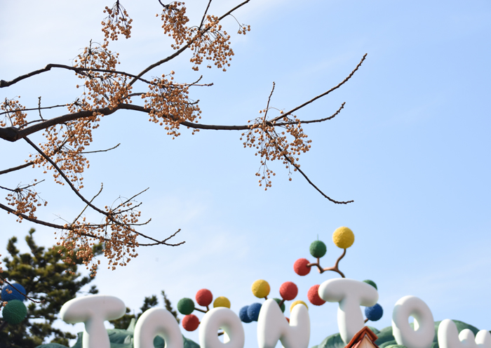 f:id:flowerTDR:20180218211947j:plain