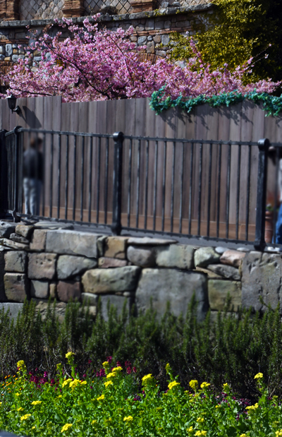 f:id:flowerTDR:20180303084245j:plain
