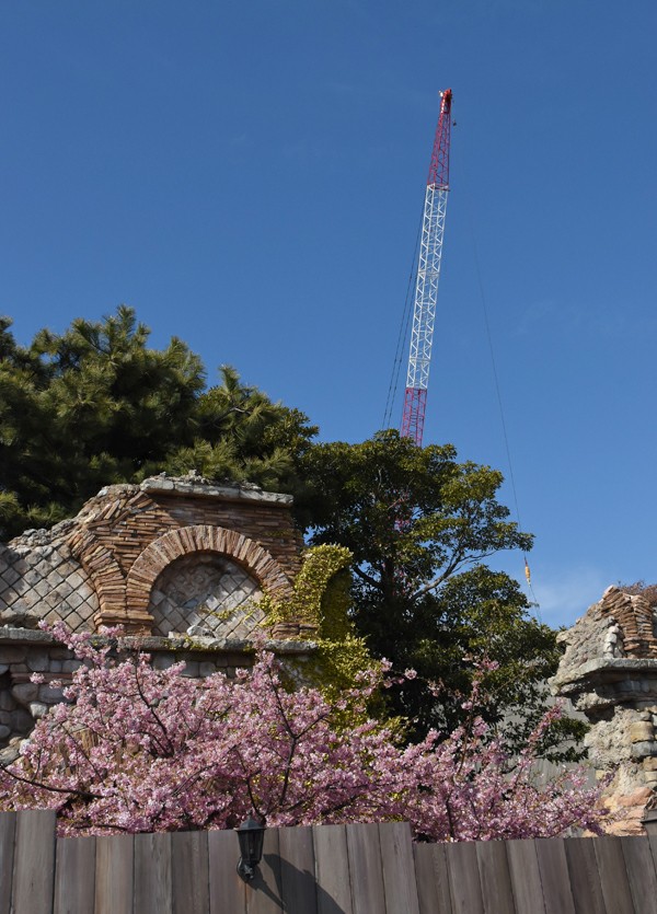 f:id:flowerTDR:20180303184718j:plain