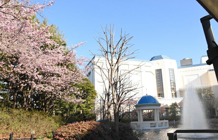 f:id:flowerTDR:20180305091225j:plain