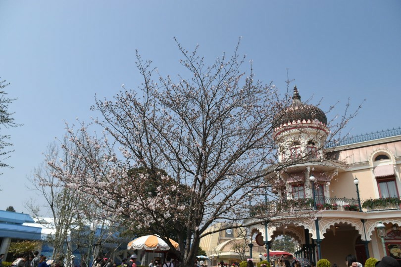 f:id:flowerTDR:20180328122934j:plain