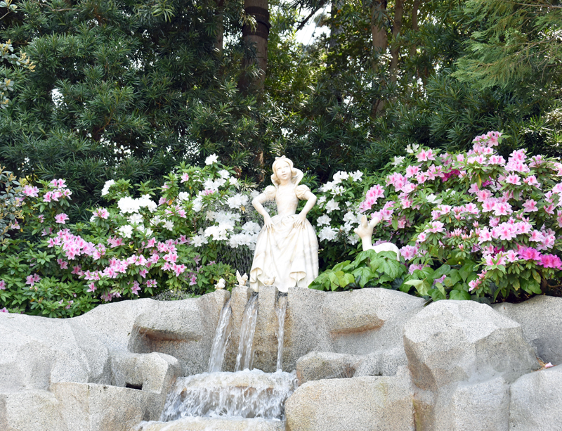 f:id:flowerTDR:20180421002624j:plain
