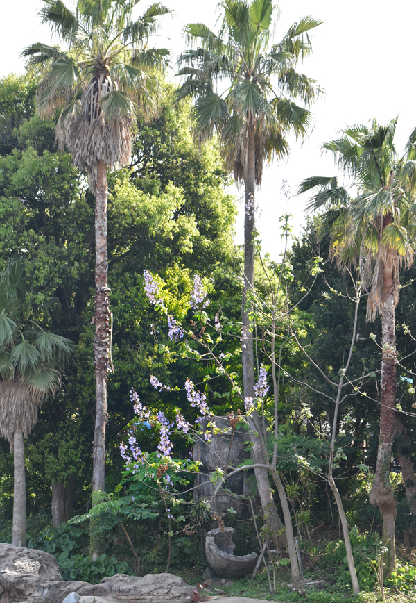 f:id:flowerTDR:20180428004459j:plain