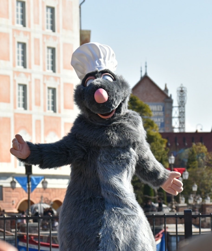 f:id:flowerTDR:20180429202345j:plain