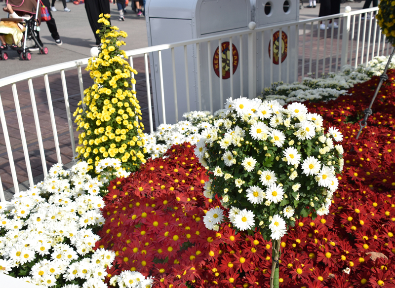 f:id:flowerTDR:20181107082759j:plain