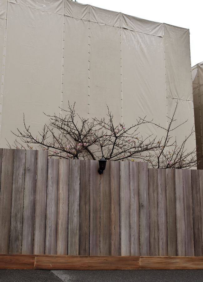 f:id:flowerTDR:20181110090738j:plain