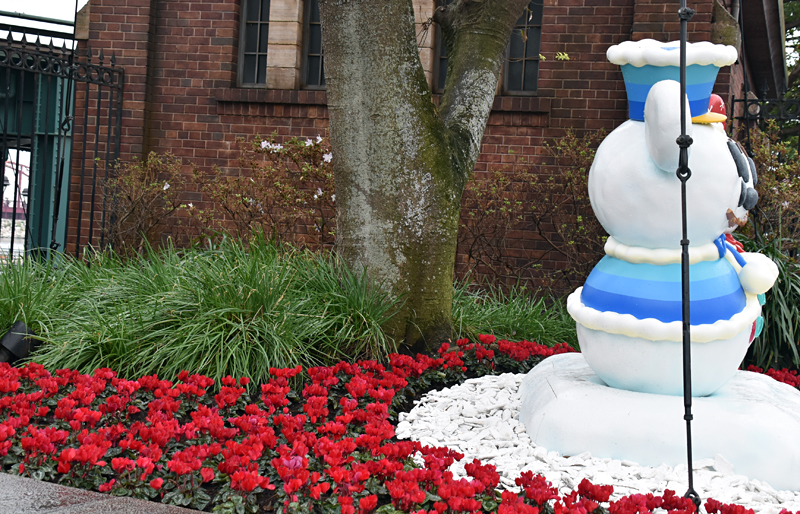 f:id:flowerTDR:20181110090809j:plain