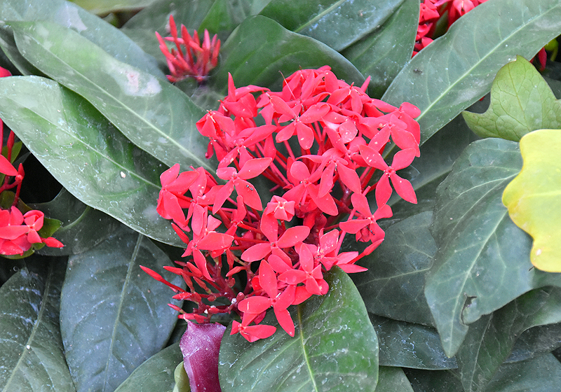 f:id:flowerTDR:20181119091238j:plain f:id:flowerTDR:20181119091238j:plain