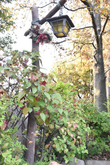 f:id:flowerTDR:20181208094804j:image f:id:flowerTDR:20181208094804j:image