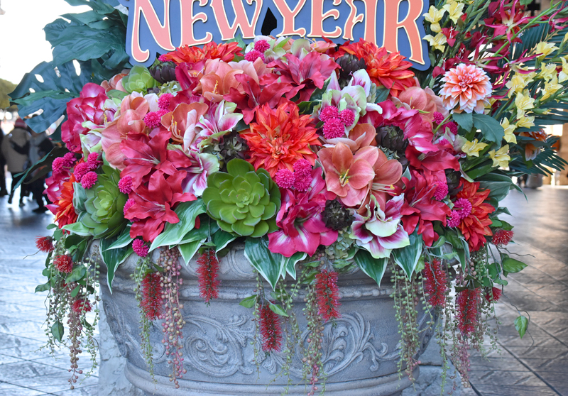 f:id:flowerTDR:20181230172434j:plain f:id:flowerTDR:20181230172434j:plain