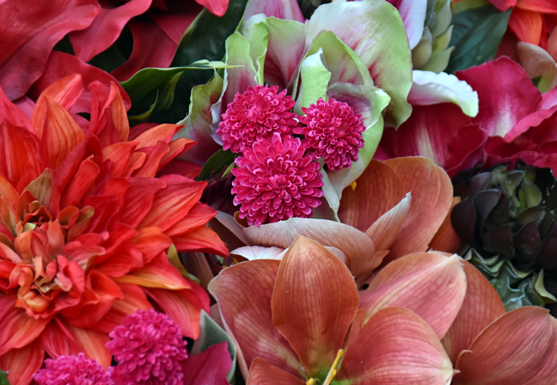 f:id:flowerTDR:20181230172442j:plain f:id:flowerTDR:20181230172442j:plain