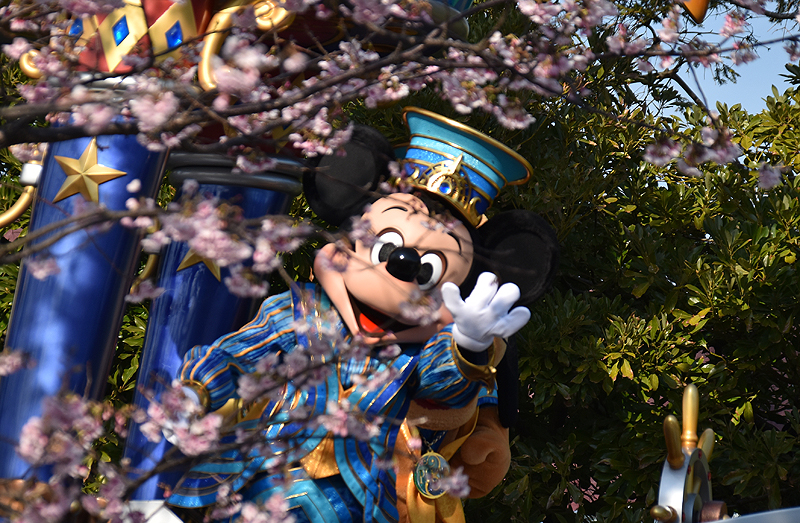 f:id:flowerTDR:20190316081452j:plain