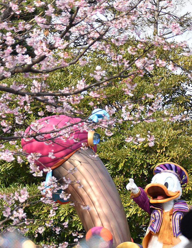 f:id:flowerTDR:20190316081500j:plain