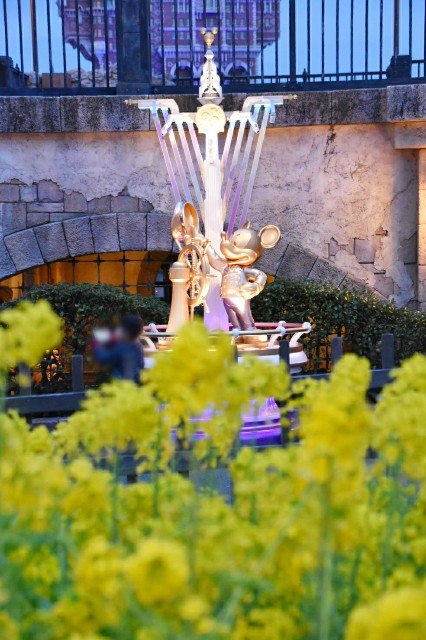 f:id:flowerTDR:20190319184404j:image