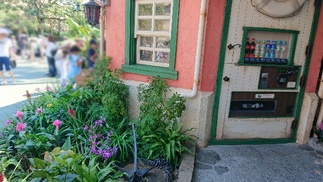 f:id:flowerTDR:20190809194458j:image f:id:flowerTDR:20190809194458j:image