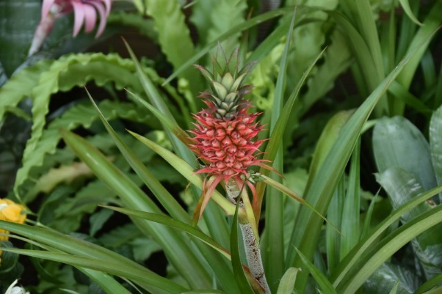 f:id:flowerTDR:20190809194523j:image f:id:flowerTDR:20190809194523j:image