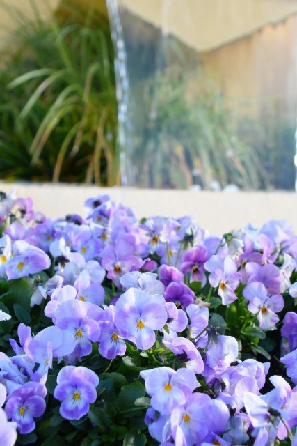 f:id:flowerTDR:20191224090448j:image