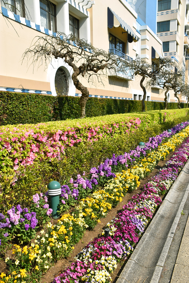 f:id:flowerTDR:20200409235027j:plain