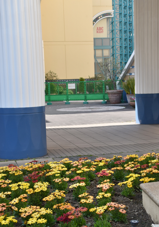 f:id:flowerTDR:20200411082046j:plain