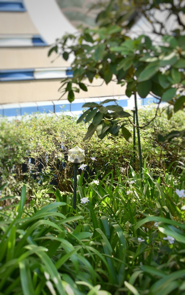 f:id:flowerTDR:20200417091236j:image