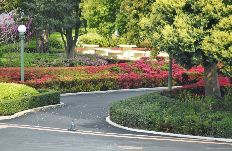 f:id:flowerTDR:20200421075107j:image f:id:flowerTDR:20200421075107j:image