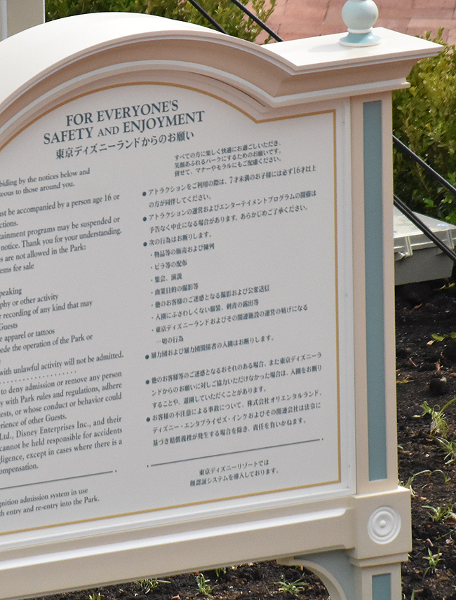 f:id:flowerTDR:20200421081424j:plain f:id:flowerTDR:20200421081424j:plain