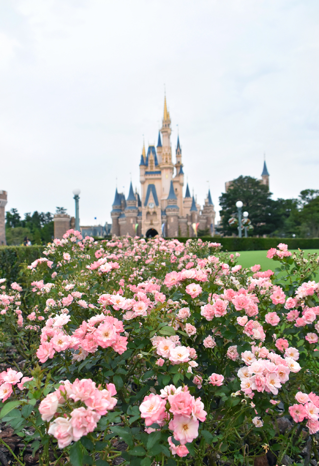 f:id:flowerTDR:20200709114132j:plain