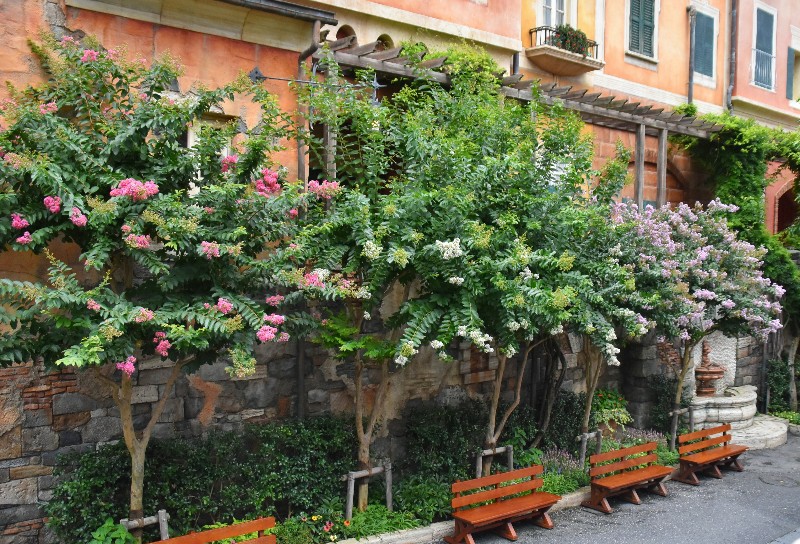 f:id:flowerTDR:20200727090143j:image
