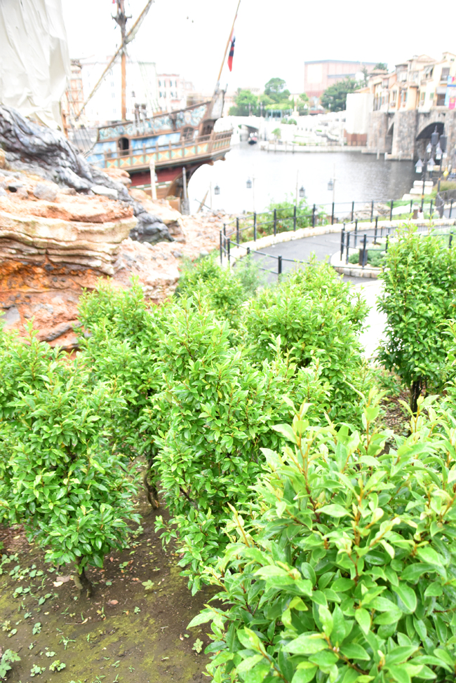 f:id:flowerTDR:20200904001755j:plain f:id:flowerTDR:20200904001755j:plain