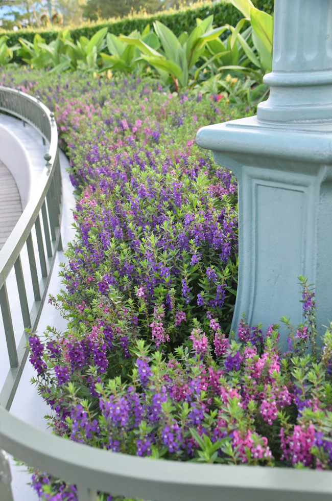 f:id:flowerTDR:20200908065708j:plain