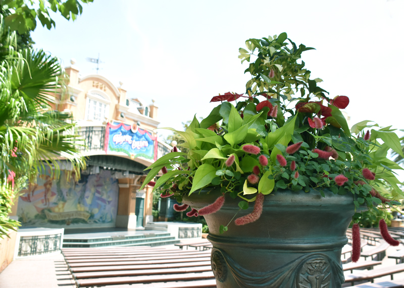 f:id:flowerTDR:20200913003025j:plain