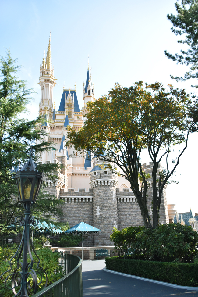 f:id:flowerTDR:20201008085305j:plain