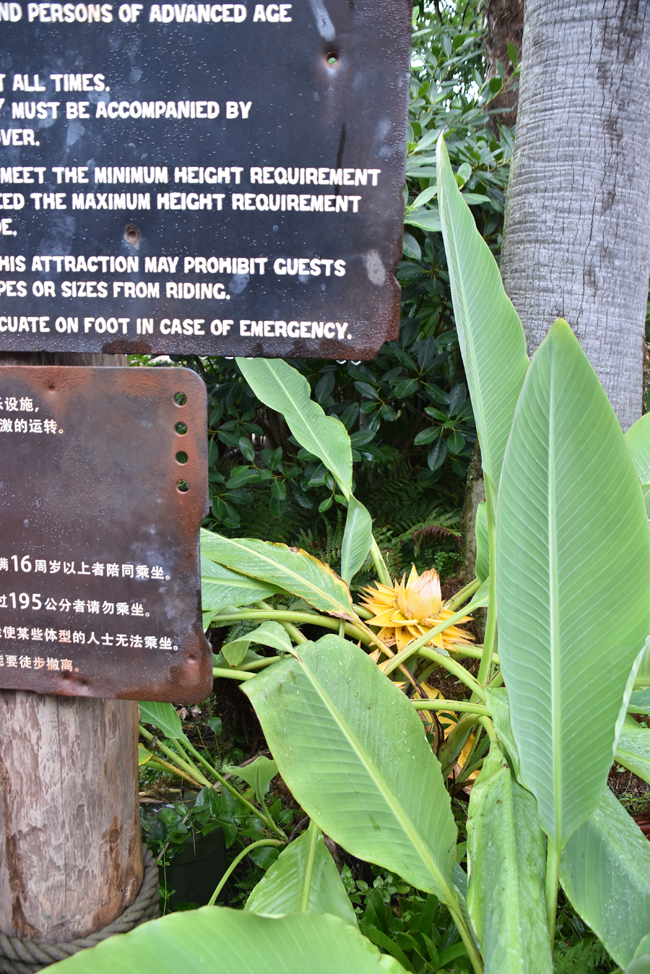 f:id:flowerTDR:20201009084628j:plain f:id:flowerTDR:20201009084628j:plain