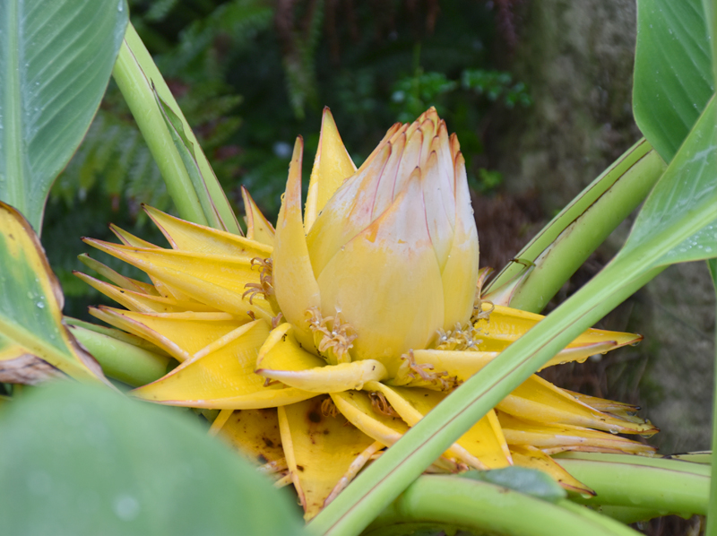 f:id:flowerTDR:20201009084645j:plain f:id:flowerTDR:20201009084645j:plain