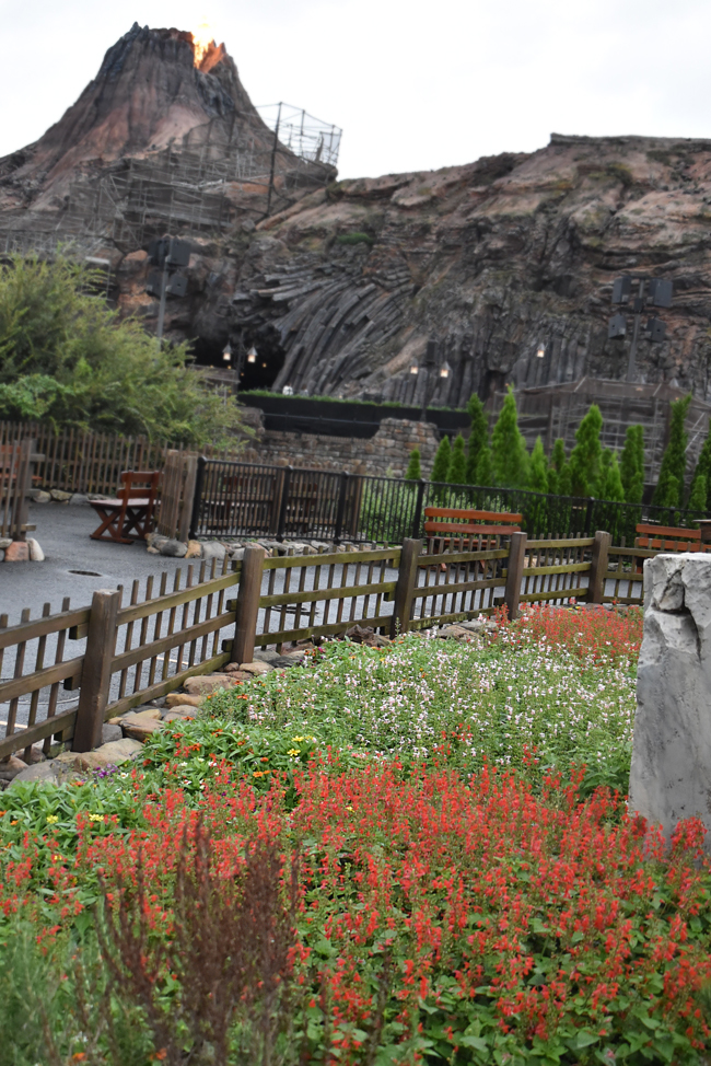 f:id:flowerTDR:20201010085555j:plain